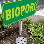 Cara Pembuatan Biopori di Rumah dan Solusi Ramah Lingkungan untuk Mengatasi Genangan Air